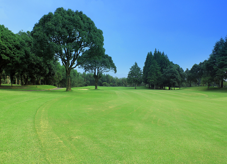 チェリーゴルフ人吉コース4h