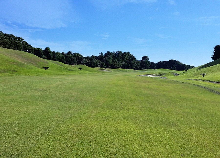 ザ・マスターズ天草コース14h