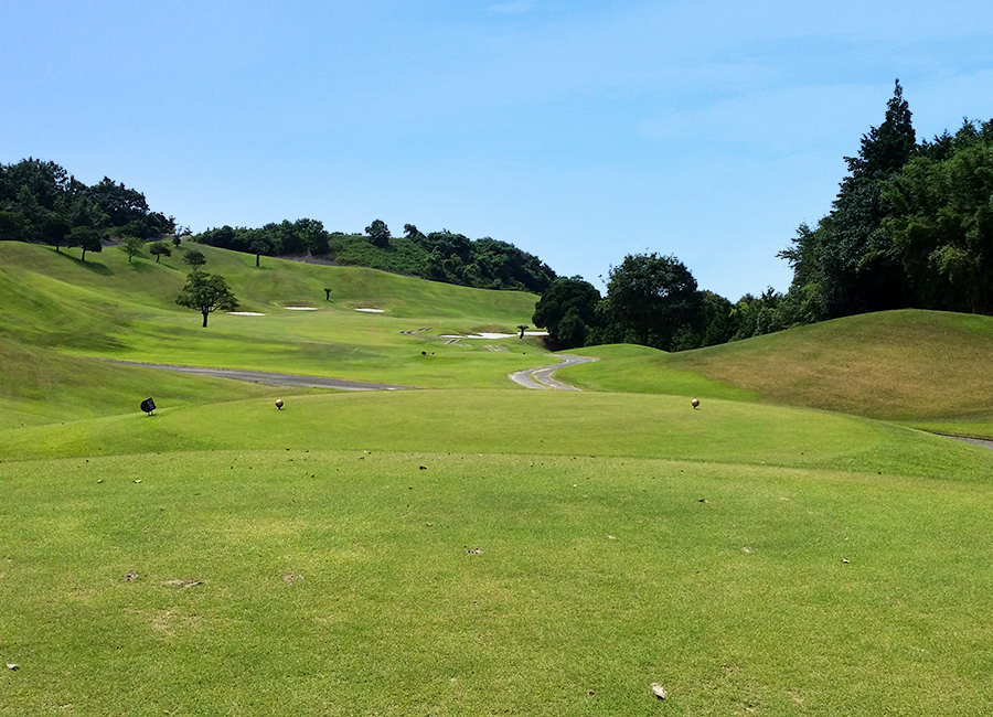 ザ・マスターズ天草コース2h