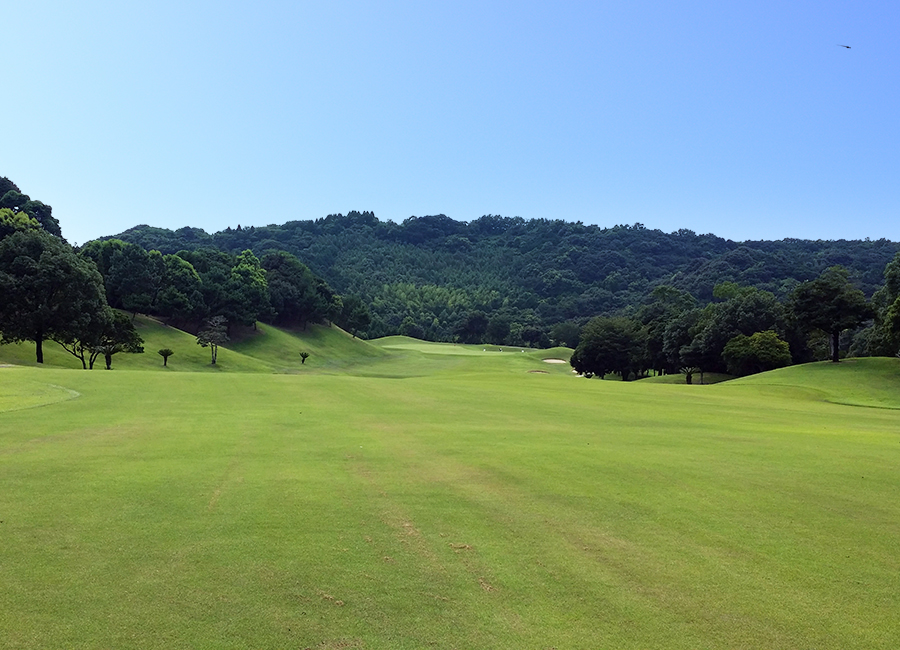 ザ・マスターズ天草コース4h