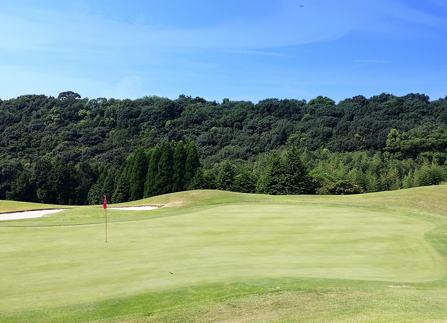 ザ・マスターズ天草コース8h