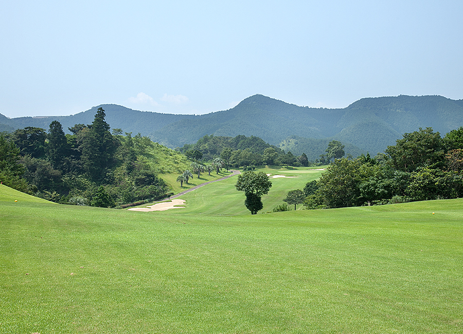 延岡ゴルフクラブ12h