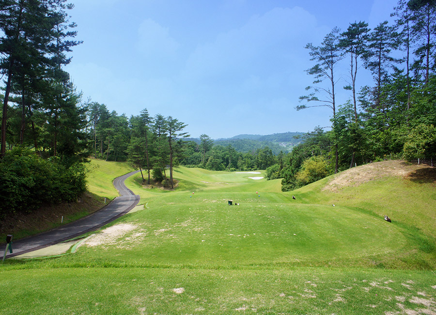 パインツリーゴルフクラブ12h