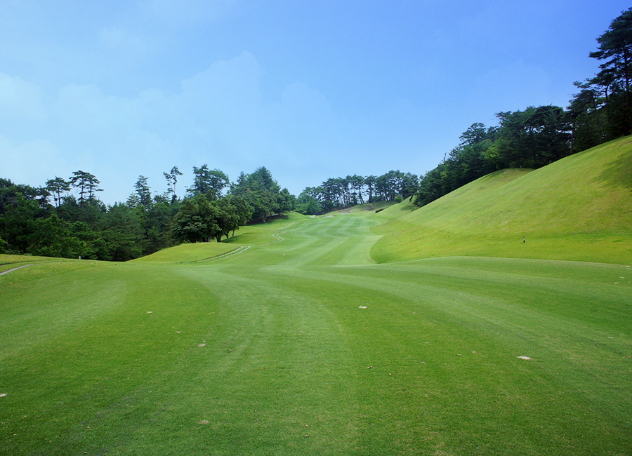 パインツリーゴルフクラブ13h