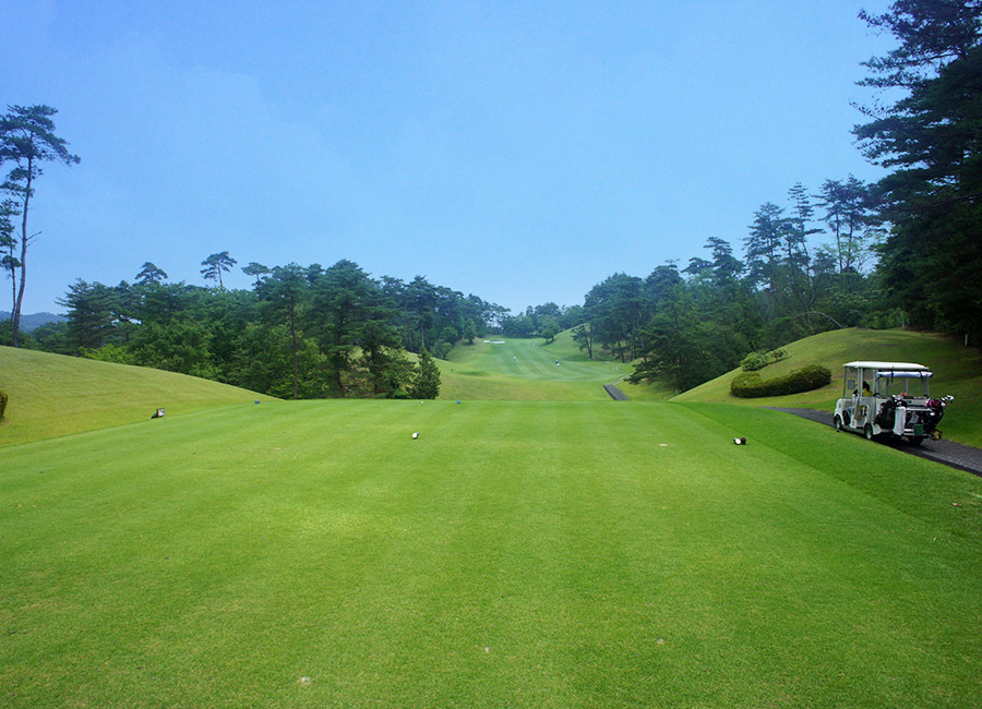 パインツリーゴルフクラブ15h