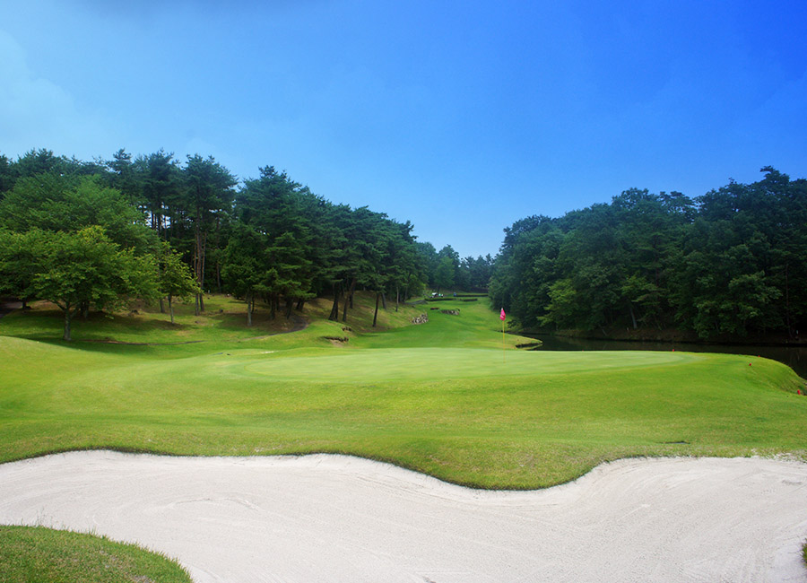 パインツリーゴルフクラブ16h