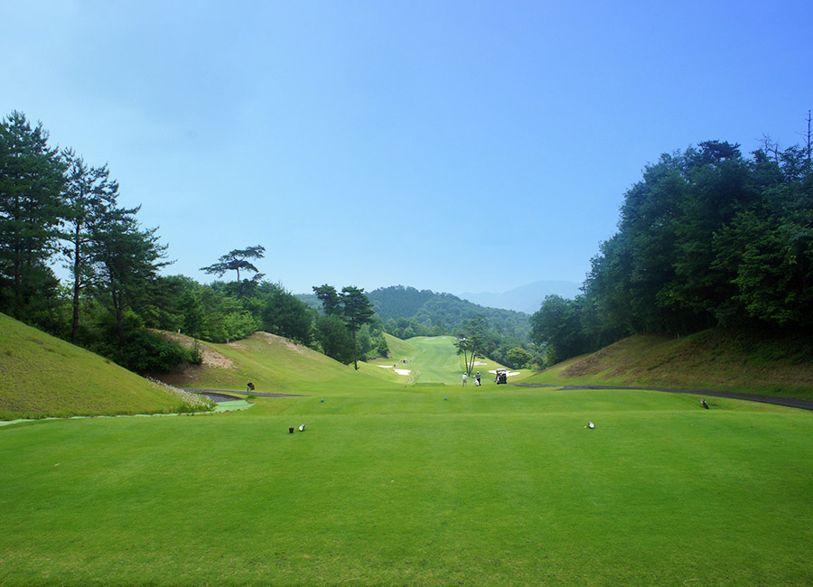 パインツリーゴルフクラブ17h