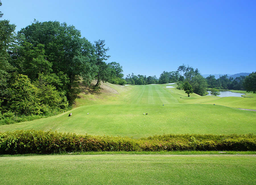 パインツリーゴルフクラブ1h