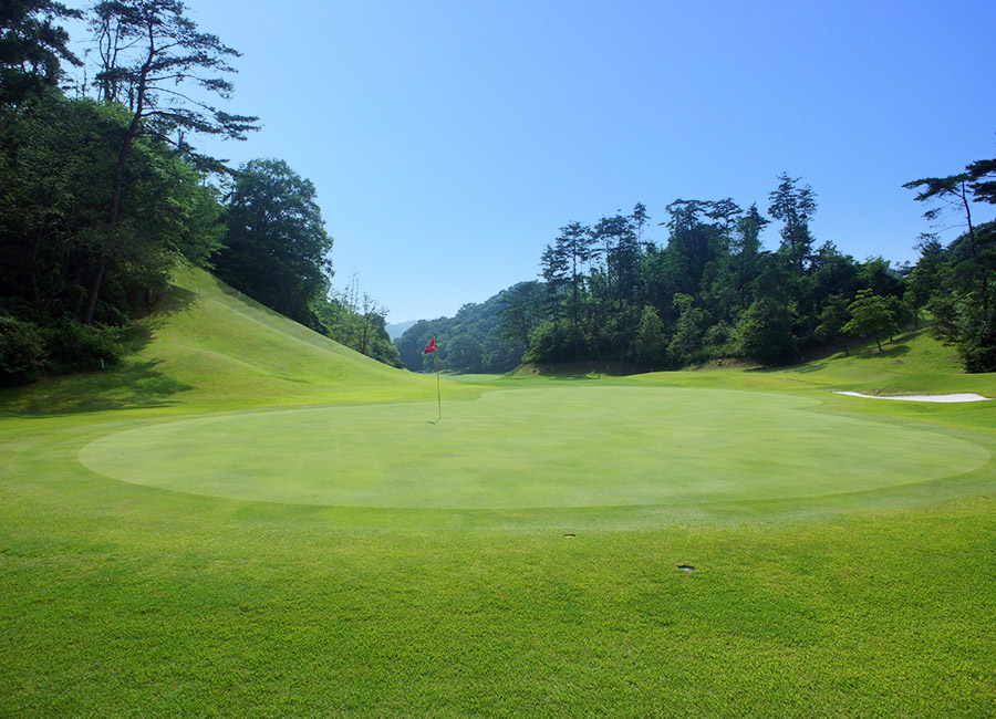 パインツリーゴルフクラブ3h