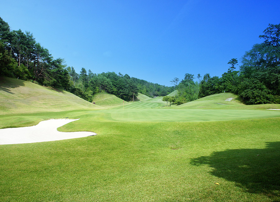 パインツリーゴルフクラブ4h