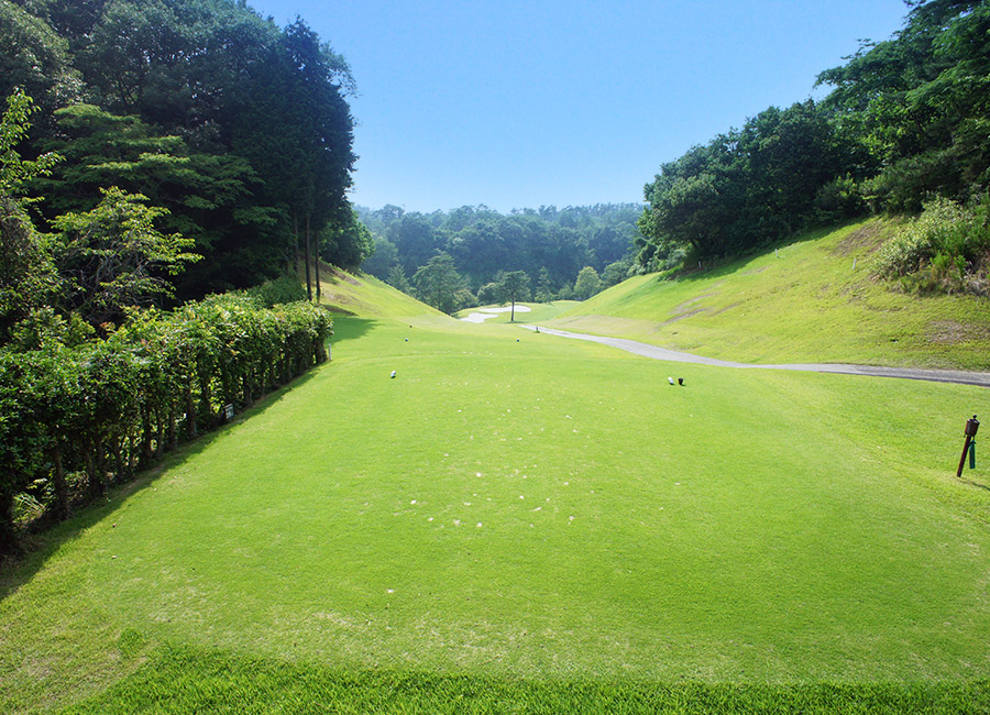 パインツリーゴルフクラブ5h