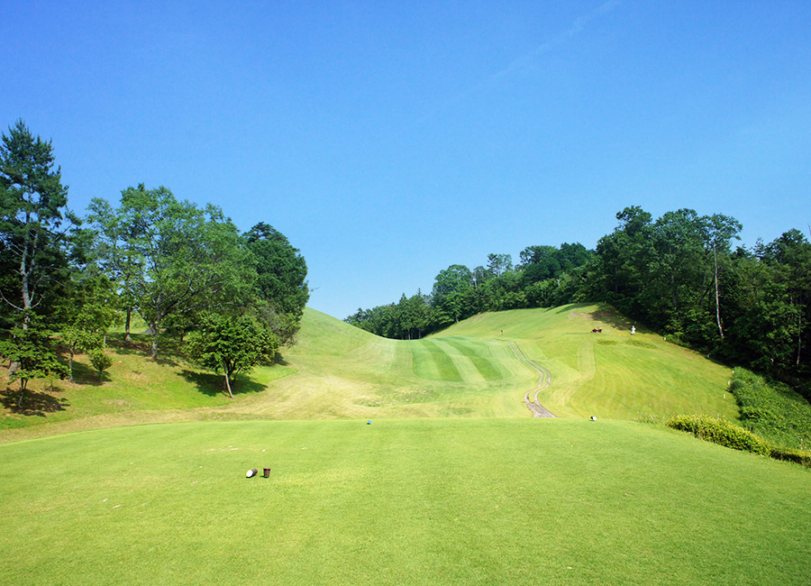 パインツリーゴルフクラブ6h