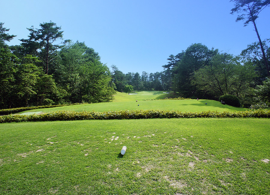 パインツリーゴルフクラブ8h
