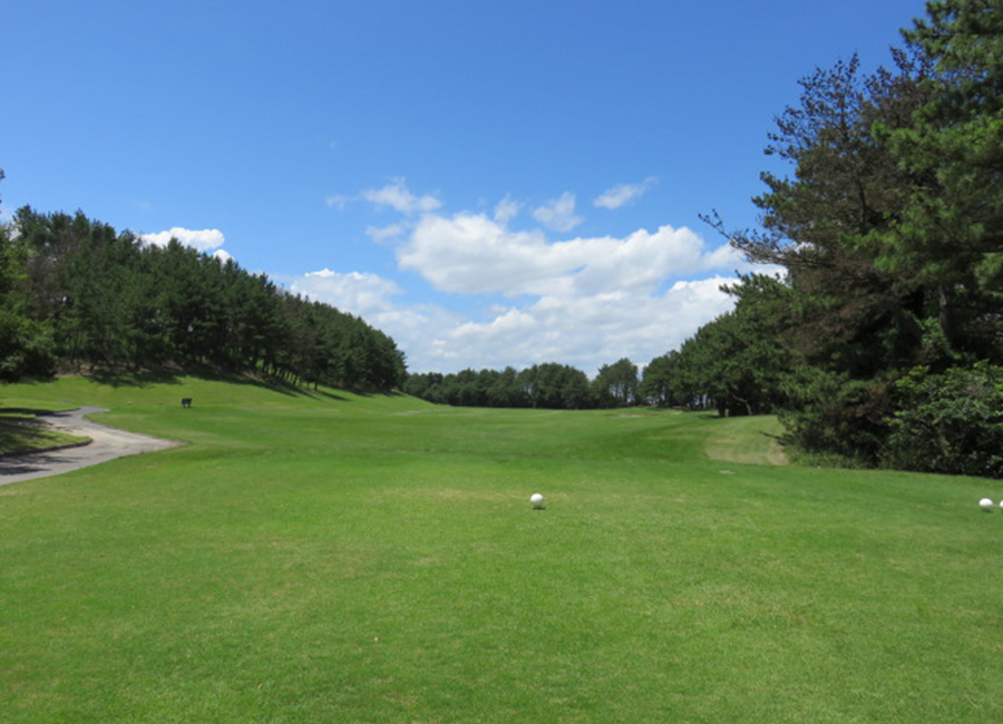 チェリーゴルフ讃岐コース4h