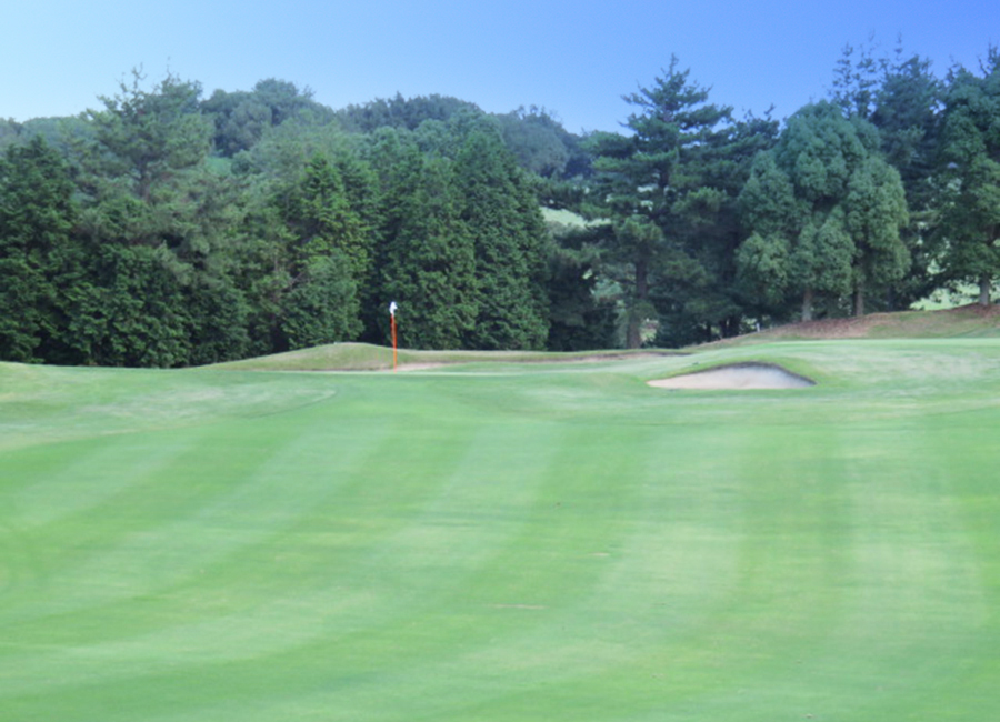 チェリーゴルフ讃岐コース8h