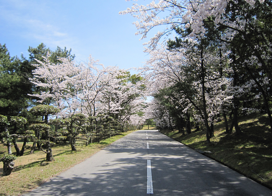 チェリーゴルフ讃岐コース
