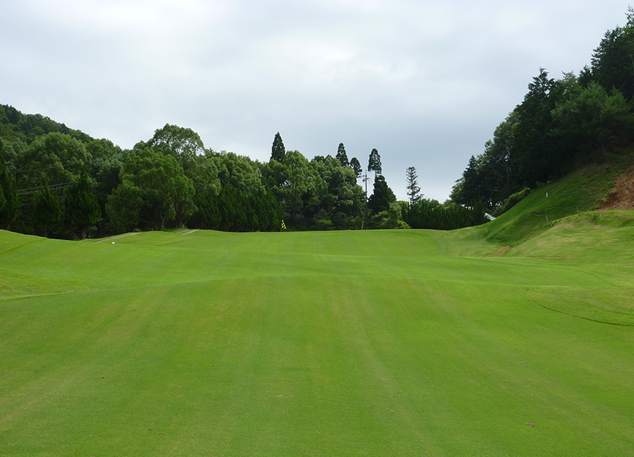 チェリーゴルフときわ台コース10h