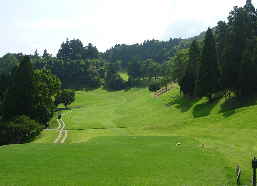 チェリーゴルフときわ台コース16h