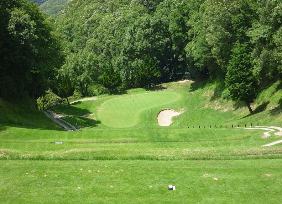 チェリーゴルフときわ台コース8h