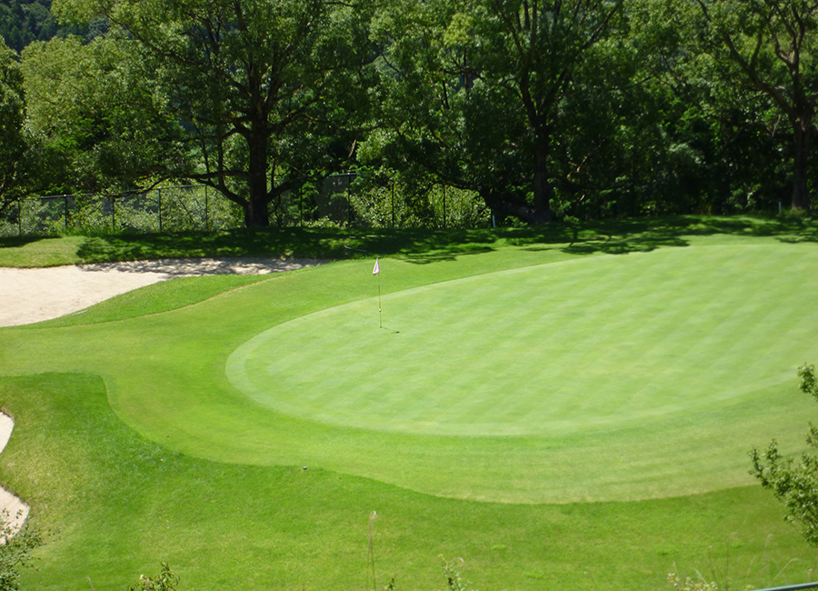 チェリーゴルフときわ台コース9h