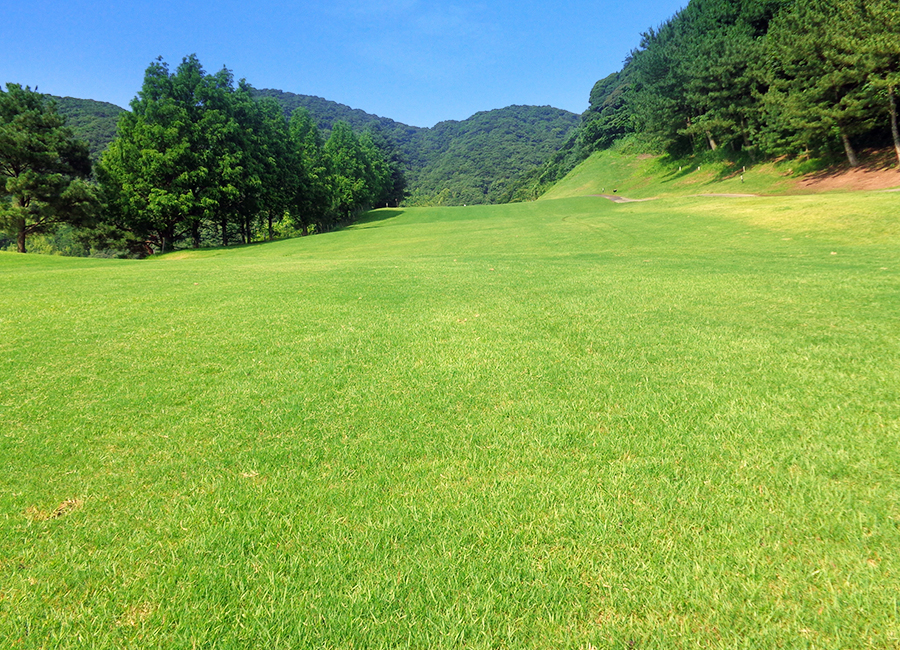 チェリーゴルフ宇土コース14h