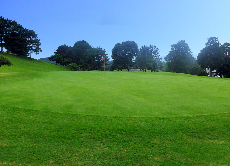 チェリーゴルフ宇土コース16h