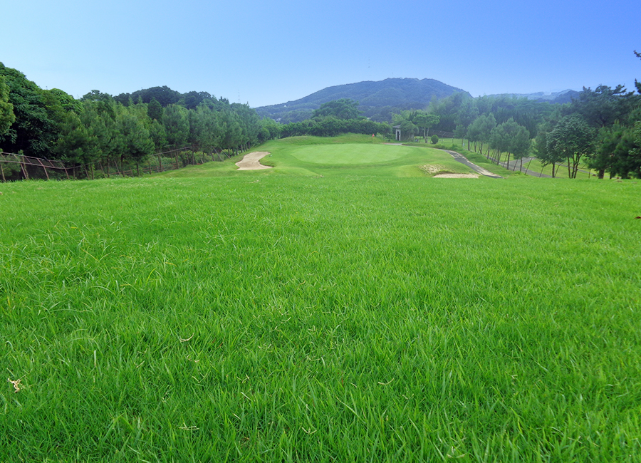 チェリーゴルフ宇土コース17h