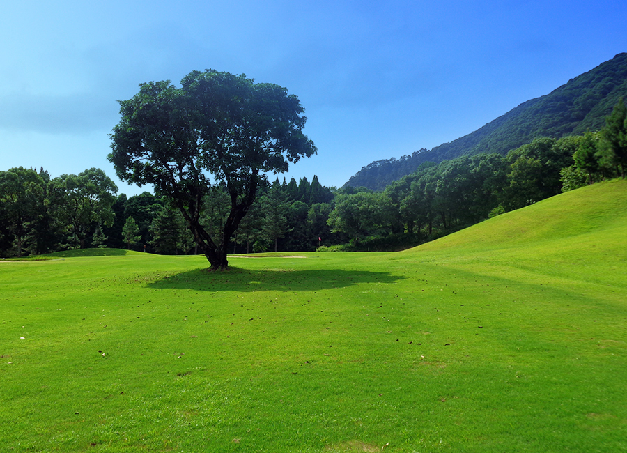 チェリーゴルフ宇土コース1h