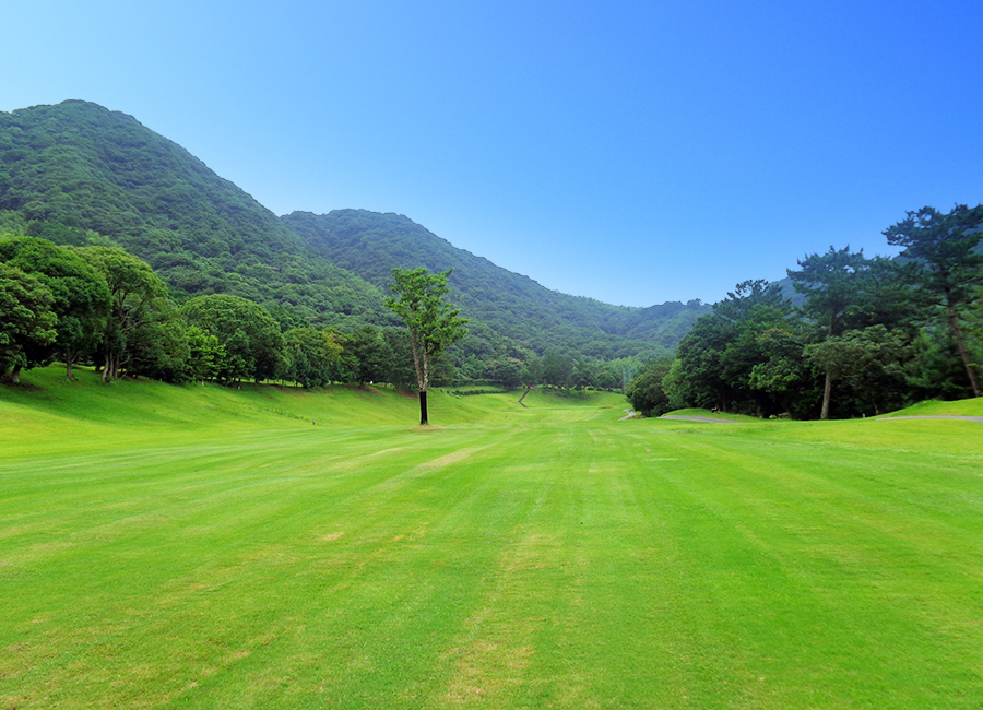 チェリーゴルフ宇土コース7h