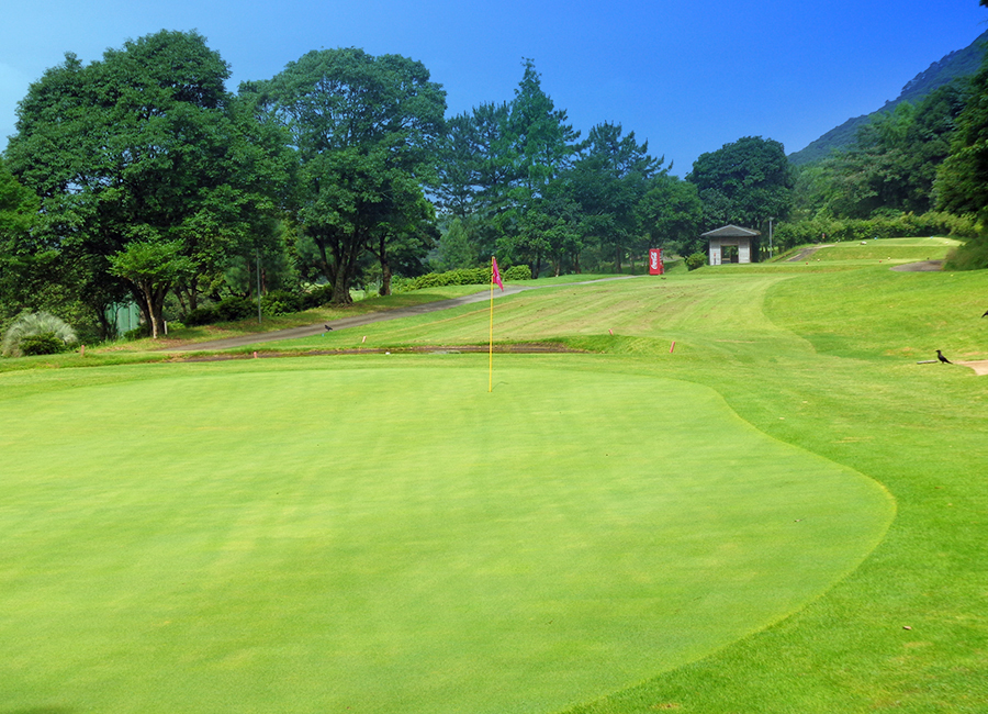 チェリーゴルフ宇土コース8h