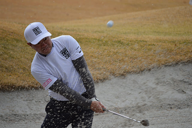 �����L�a�v��