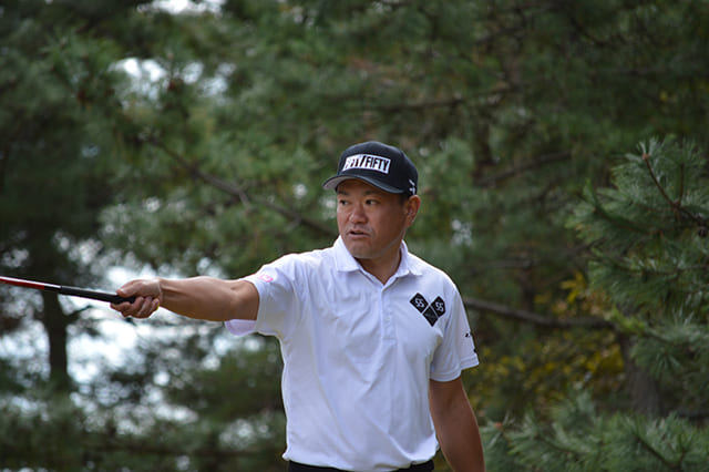 �����L�a�v��